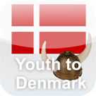  Immigration of young professionals to Denmark