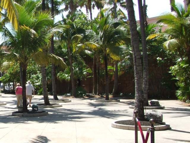  Half Moon Cay