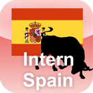Программа стажировки Internship in Spain 